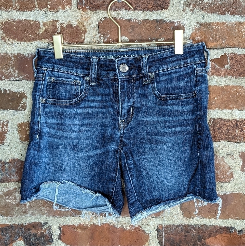 American Eagle Outfitters Size 4 Blue Denim Ne(x)t Level Stretch X Jean‎ Shorts